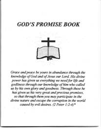 Promise book