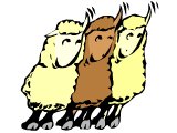 ovejas y cabritos